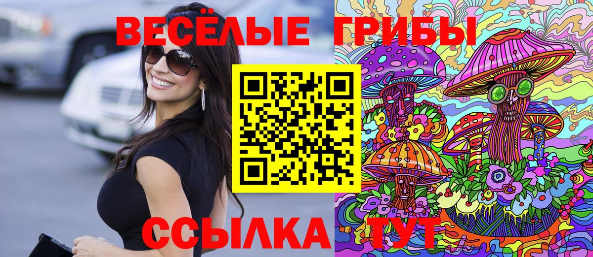 NBOMe Сухой Лог