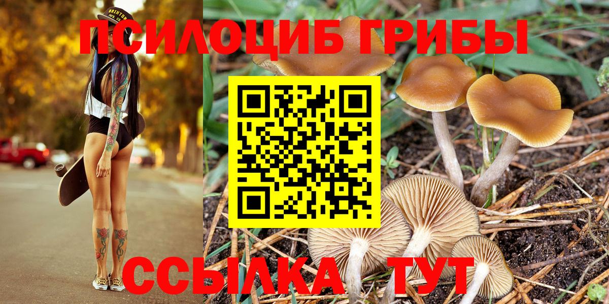 купить наркотики сайты  Галлюциногенные грибы Psilocybe  Вход с VPN  Сухой Лог 